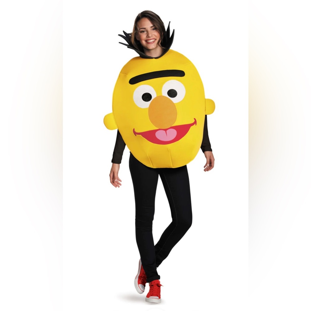 Bert Sesame Street Costume